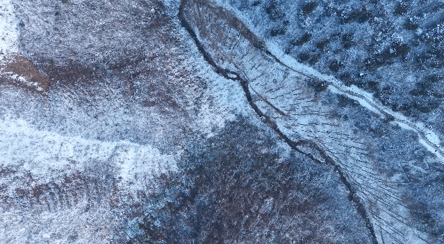 尽量减少出门！宁波发布预警，启动Ⅲ级应急响应