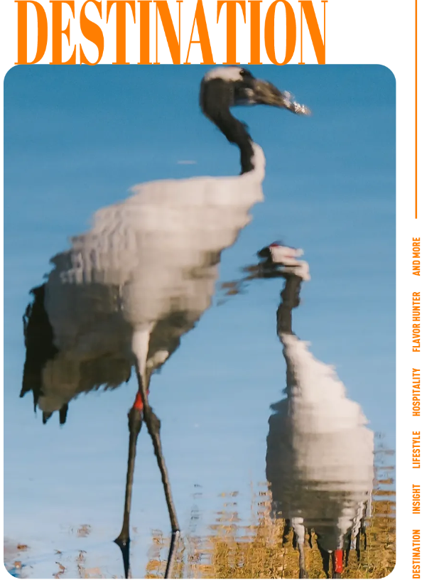 齐齐哈尔的“烤肉江湖”，藏着东北最独特的浪漫