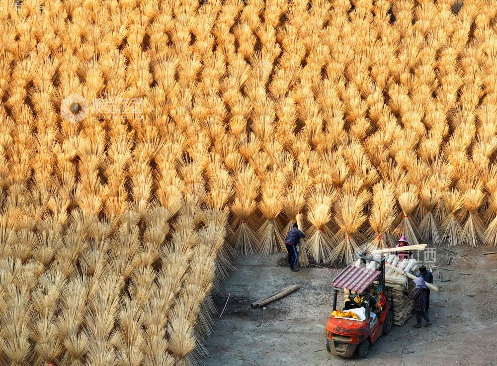 2026年1月6日，江西省吉安市泰和县桥头镇石壁村毛竹加工厂，农民在晾晒竹制品。江西泰和县积极发展毛竹加工产业，转化当地的毛竹资源，助力农民增收，助推乡村振兴。