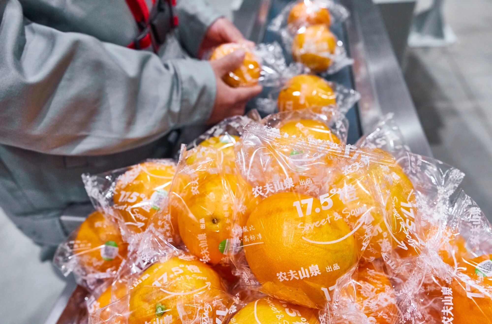 从树梢到餐桌 十道工序 “定制”一颗17.5&deg;橙