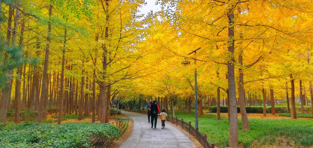 济南森林公园。