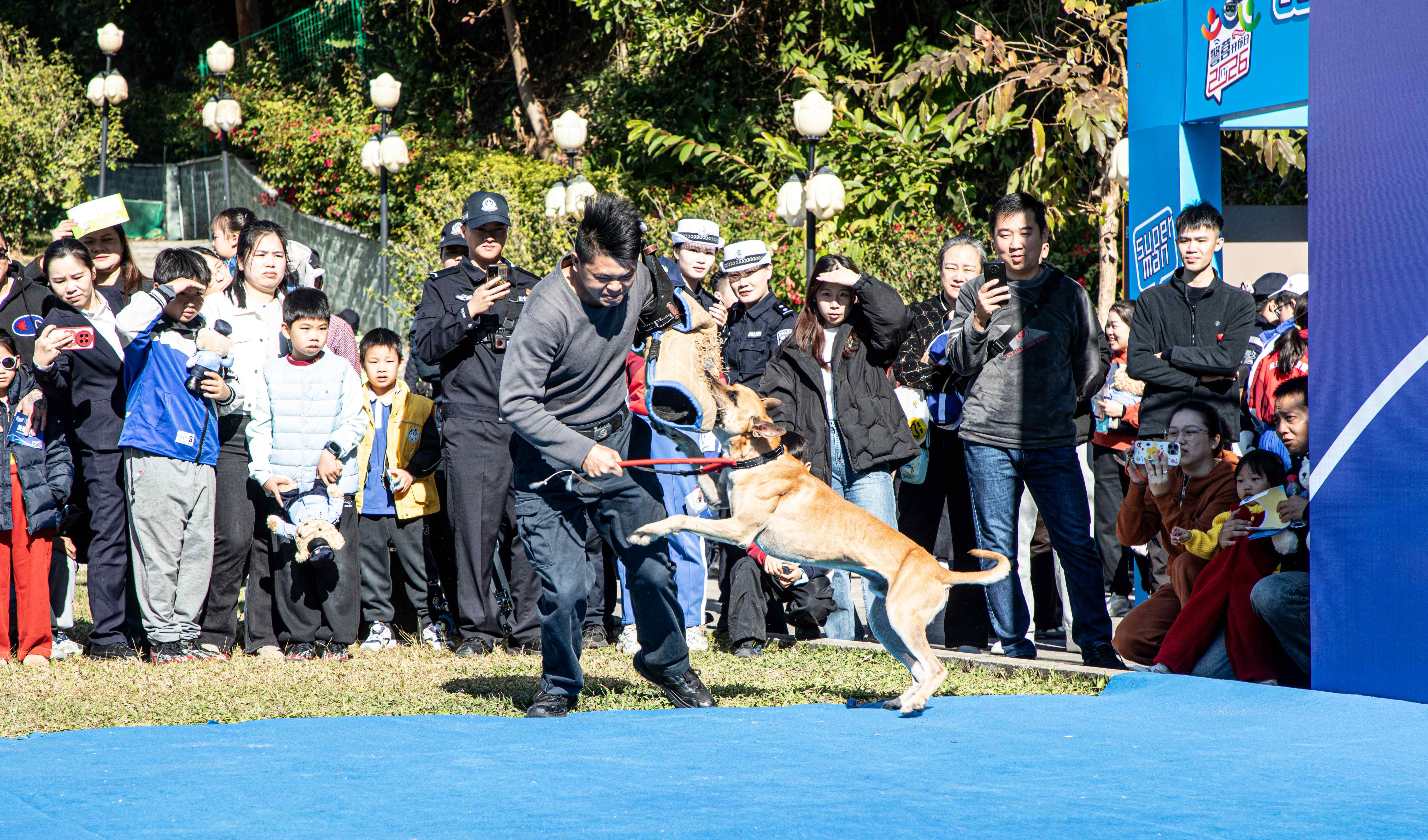 深圳少年警营:“三位一体”教官体系构建青少年教育新标杆