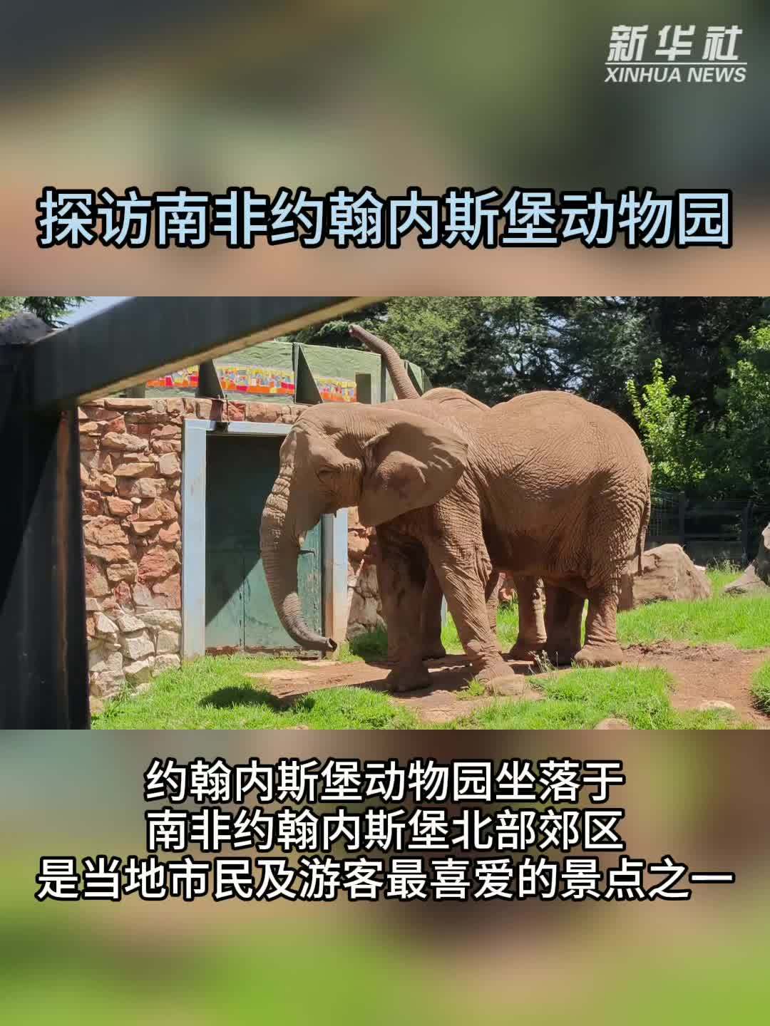 探访南非约翰内斯堡动物园
