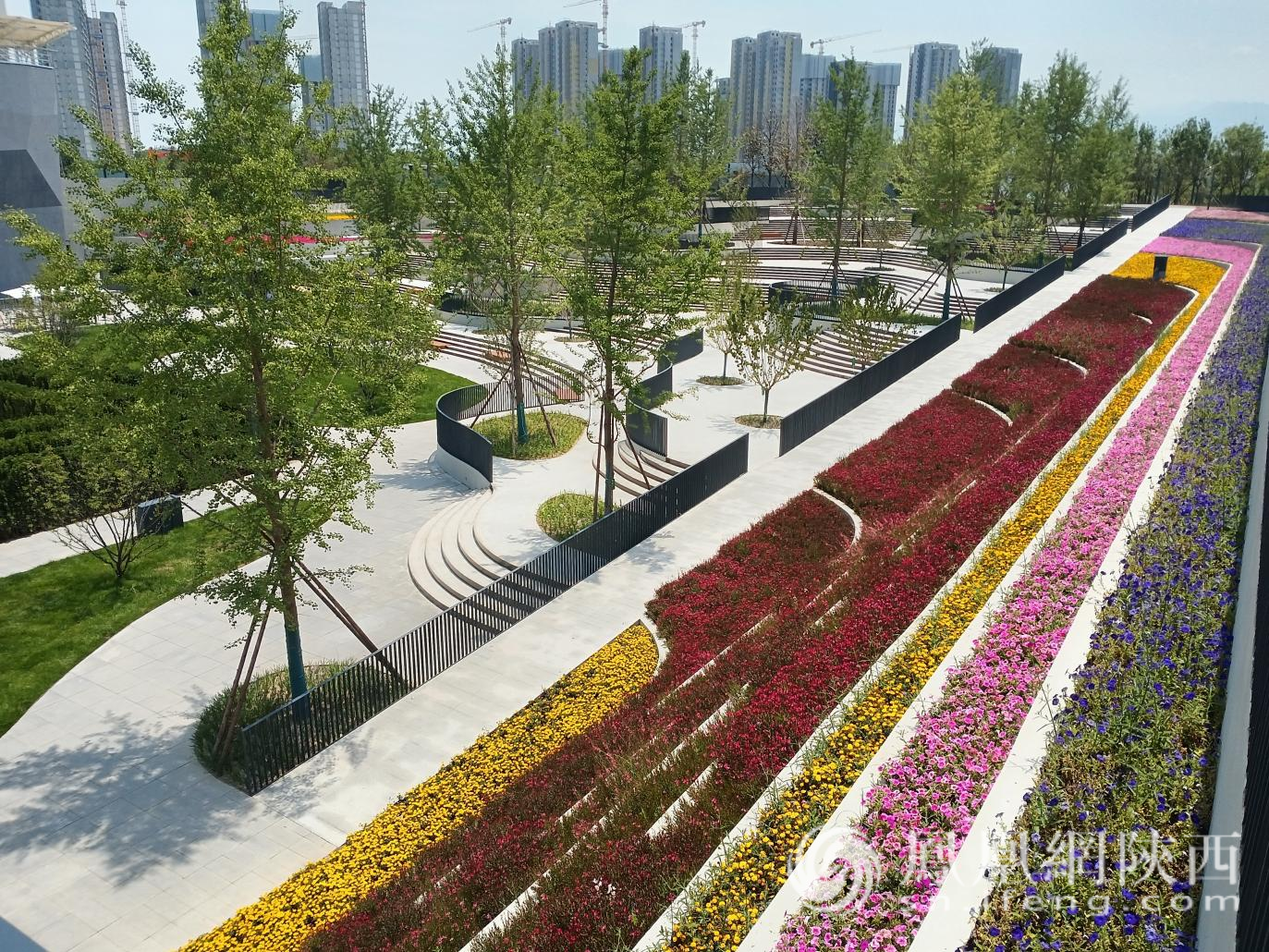 聚焦“十四五”“城”长有新迹|西安高新三期 公园城市绘就幸福生活新画卷