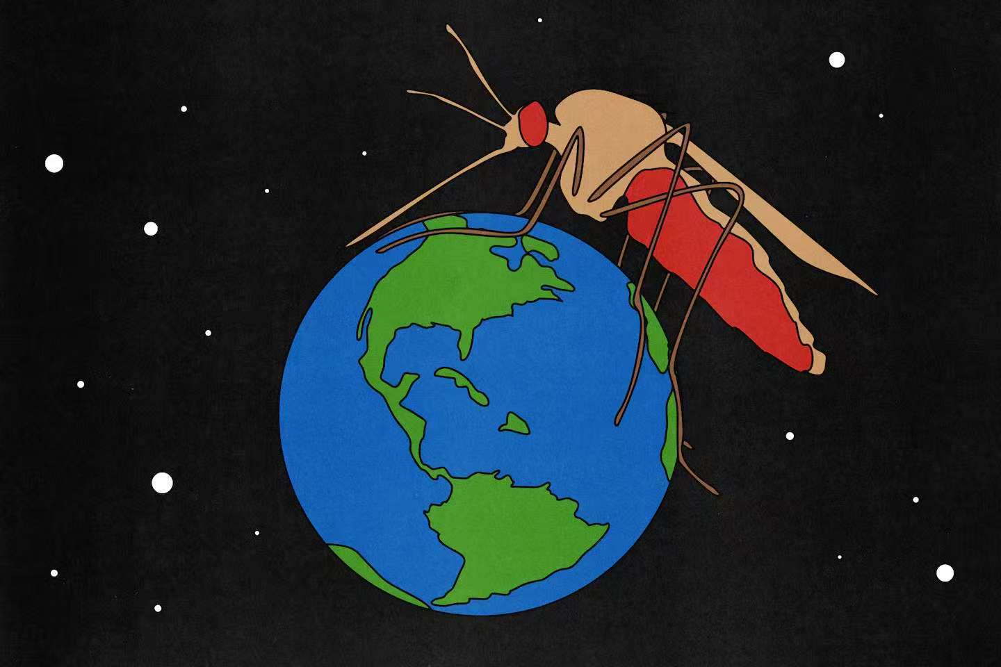 点击查看原始图片