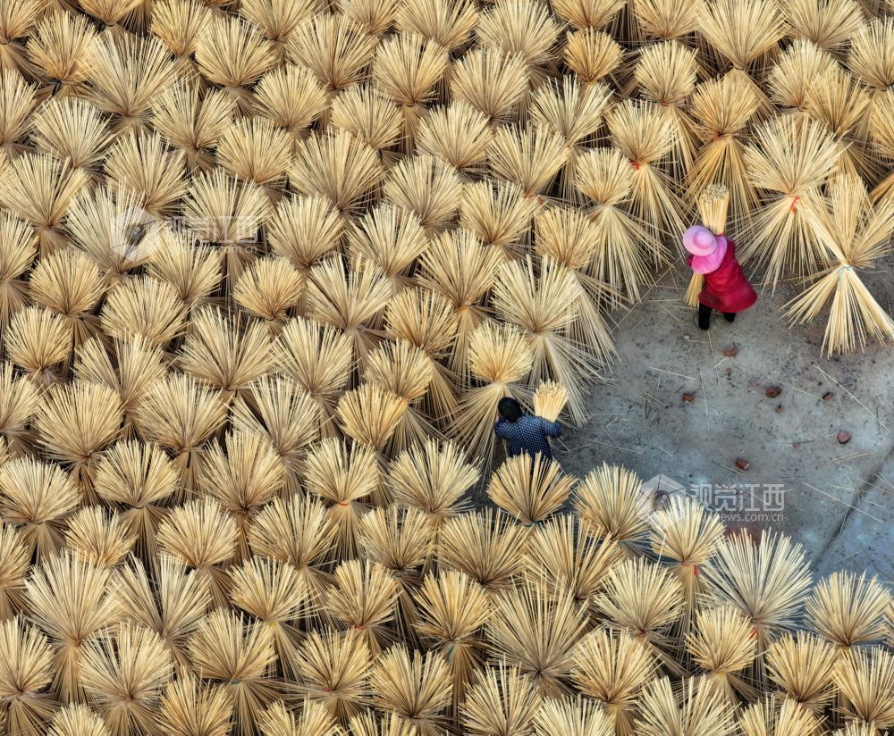 2026年1月6日，江西省吉安市泰和县桥头镇石壁村毛竹加工厂，农民在晾晒竹制品。