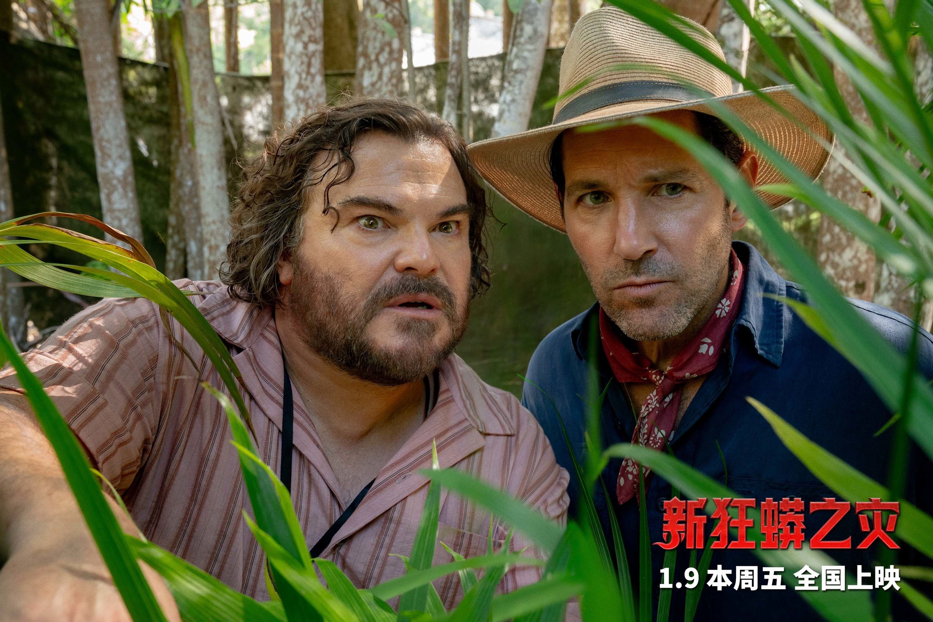 《新狂蟒之灾》火爆预售中 最强猪队友上线 1月9日欢乐开年