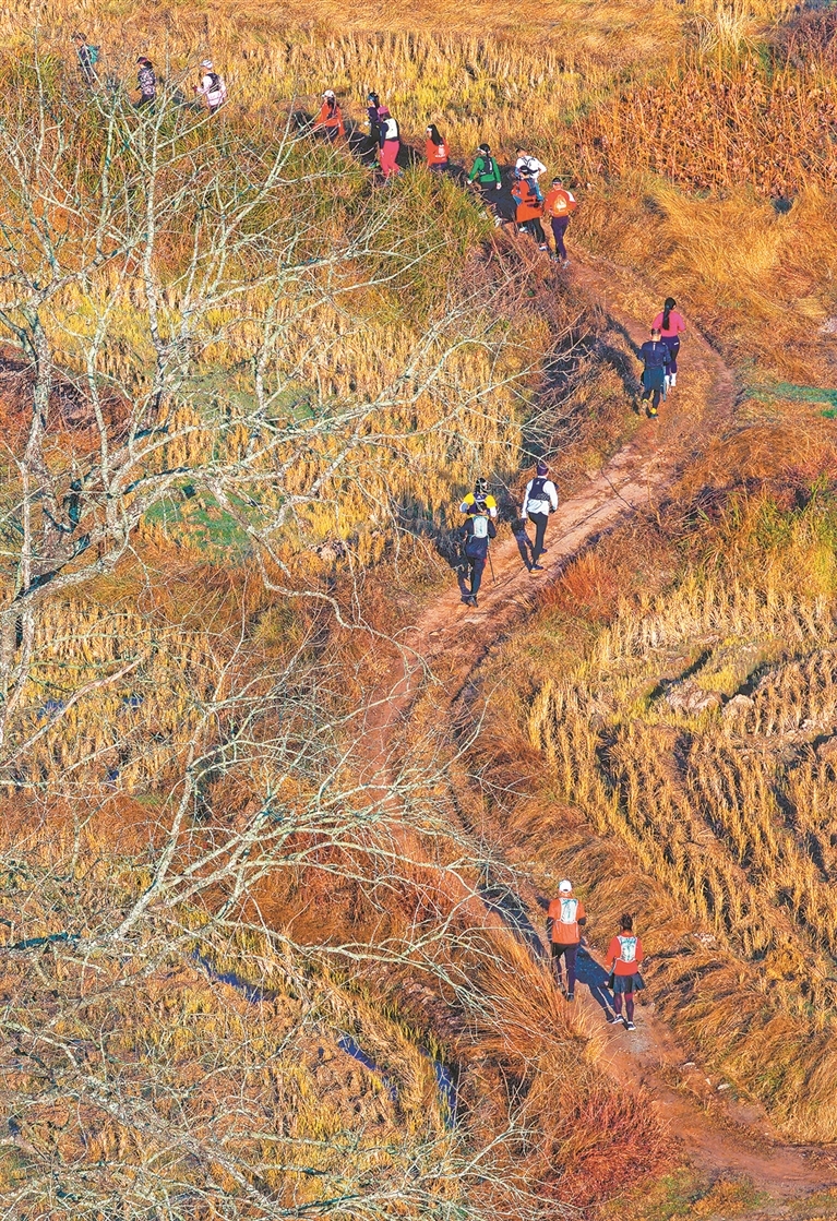 选手们攀登陡坡、跨越缓丘，尽情享受越野登高的酣畅。