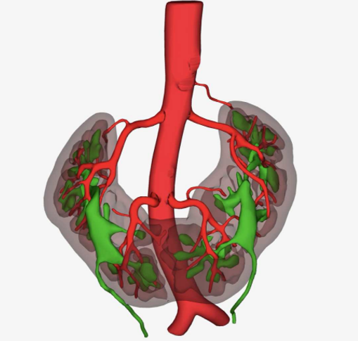 三维重建结构图