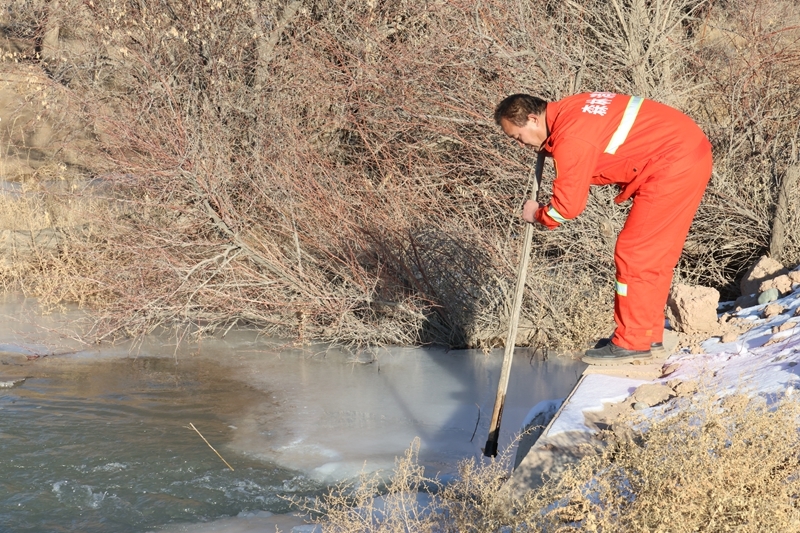 "闲置水"变冬眠水 甘肃临泽3万多亩林区开启冬灌模式