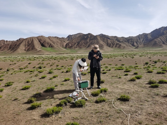 都兰县灌丛荒漠生态系统植物光合作用、气孔导度测量