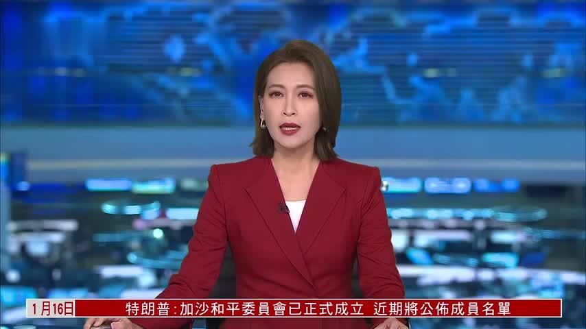 南非非国大建党114周年 聚焦基层治理和公共服务