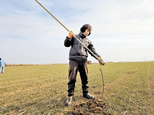 2025年12月26日，柏人城遗址上，邢台市文物保护和研究中心技工邢明振正在勘探。 本报记者 白云摄