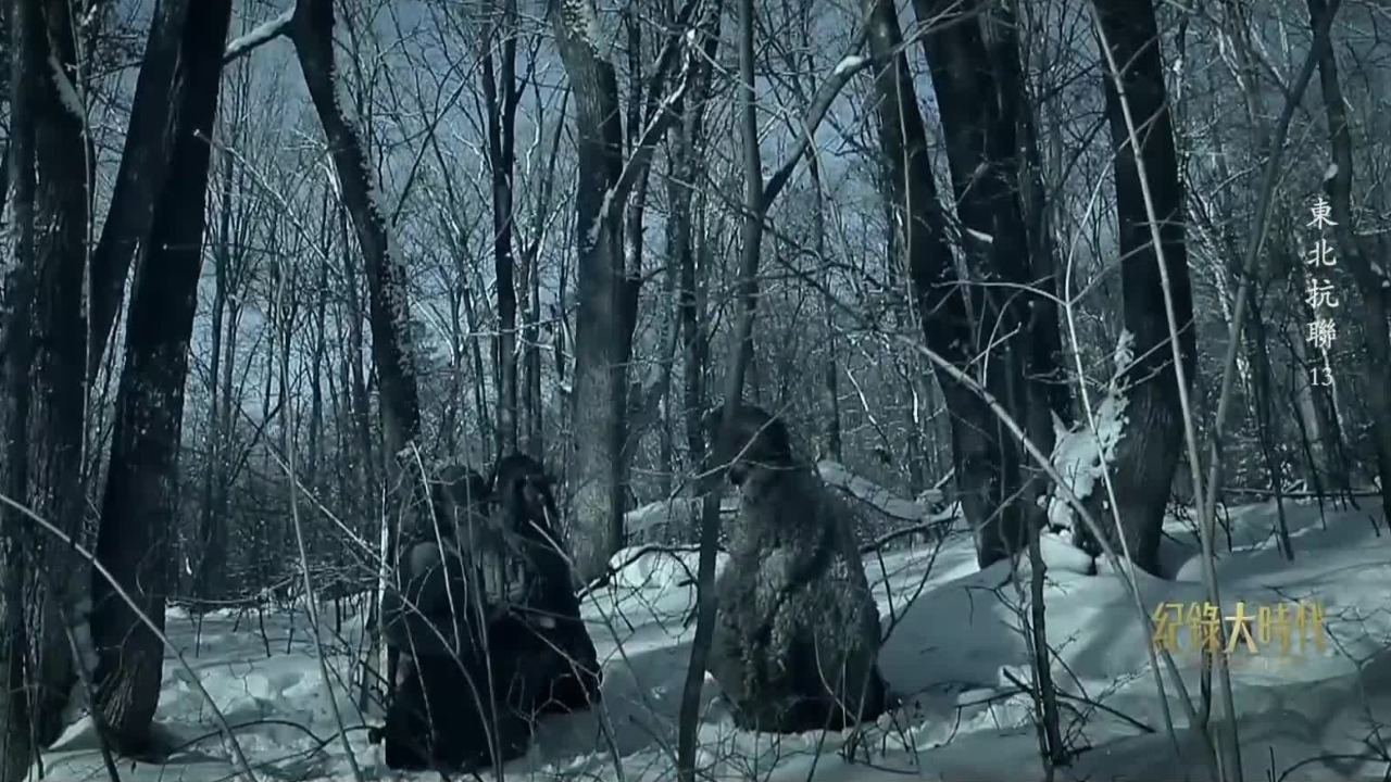 杨靖宇在身患重感冒、几天粒米未进的情况下，只身一人与日伪军周旋