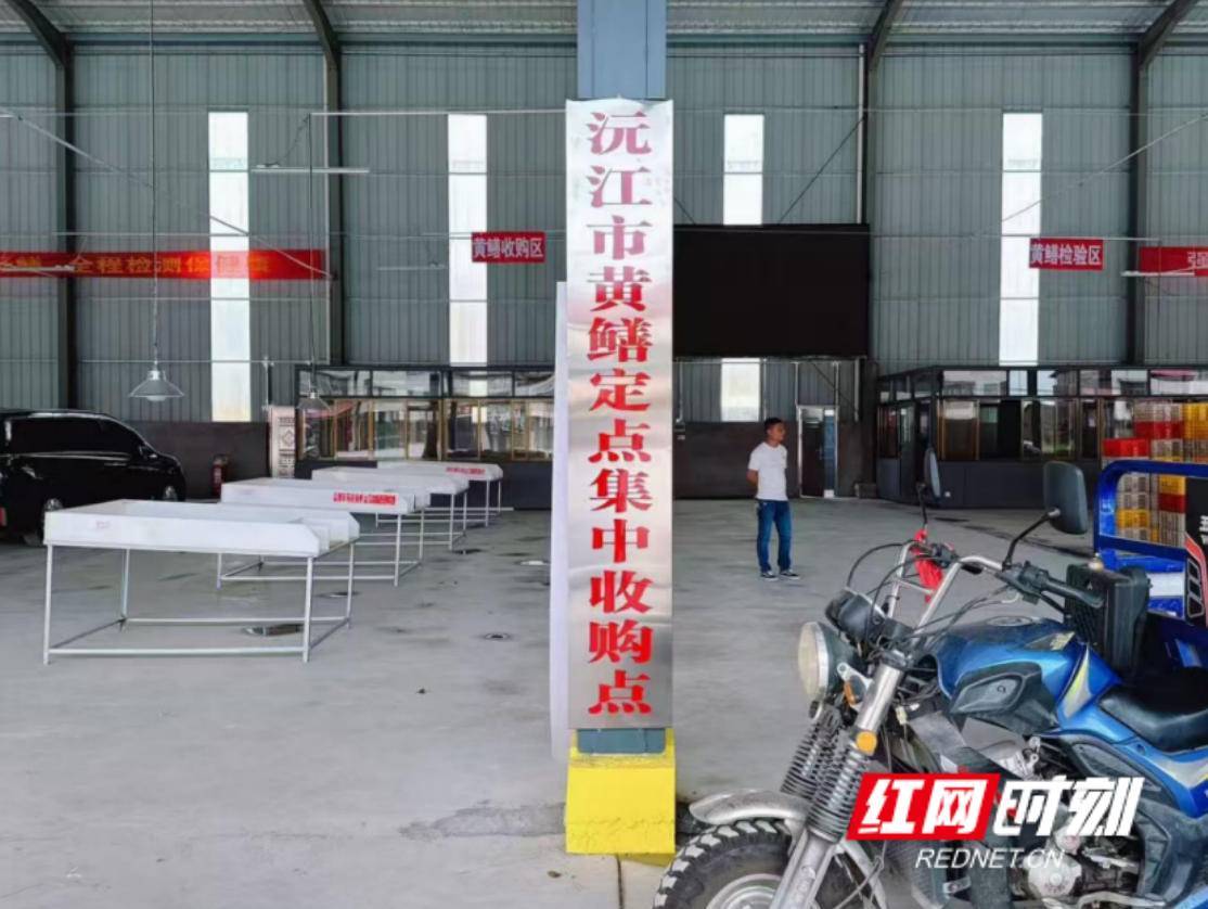 6a654b86ca844614839698143b98766c (1).jpg