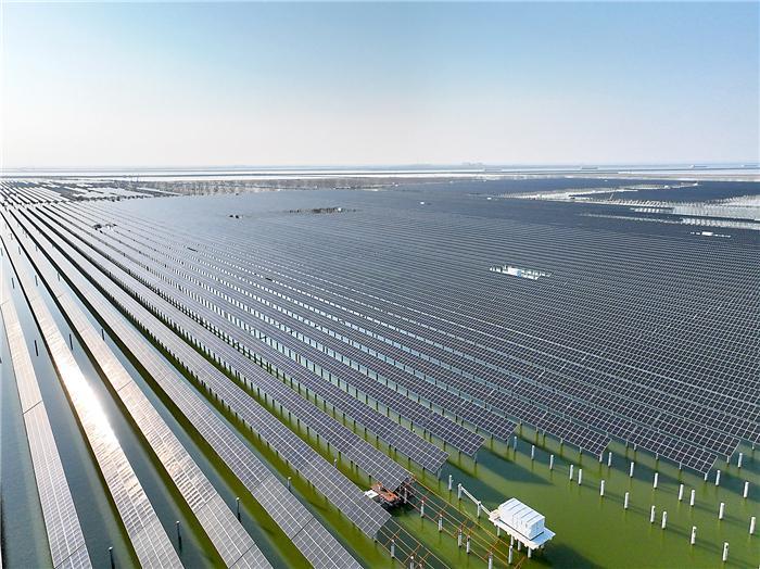 绿电赋能项目兴 滨州产业向新行