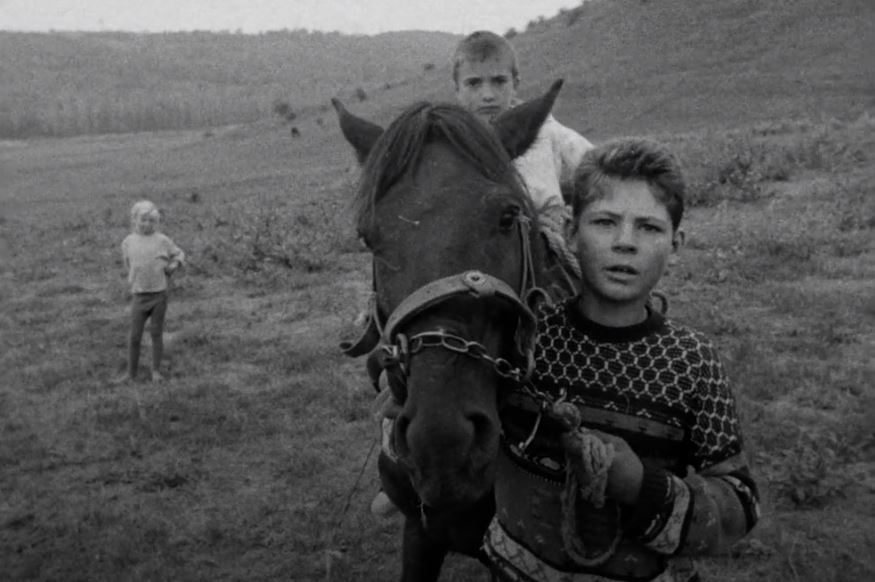 捷克女导演贾那·塞奇科瓦不为太多人所知的纪录片《古老的信仰者》出现在拉克谢的片单中。