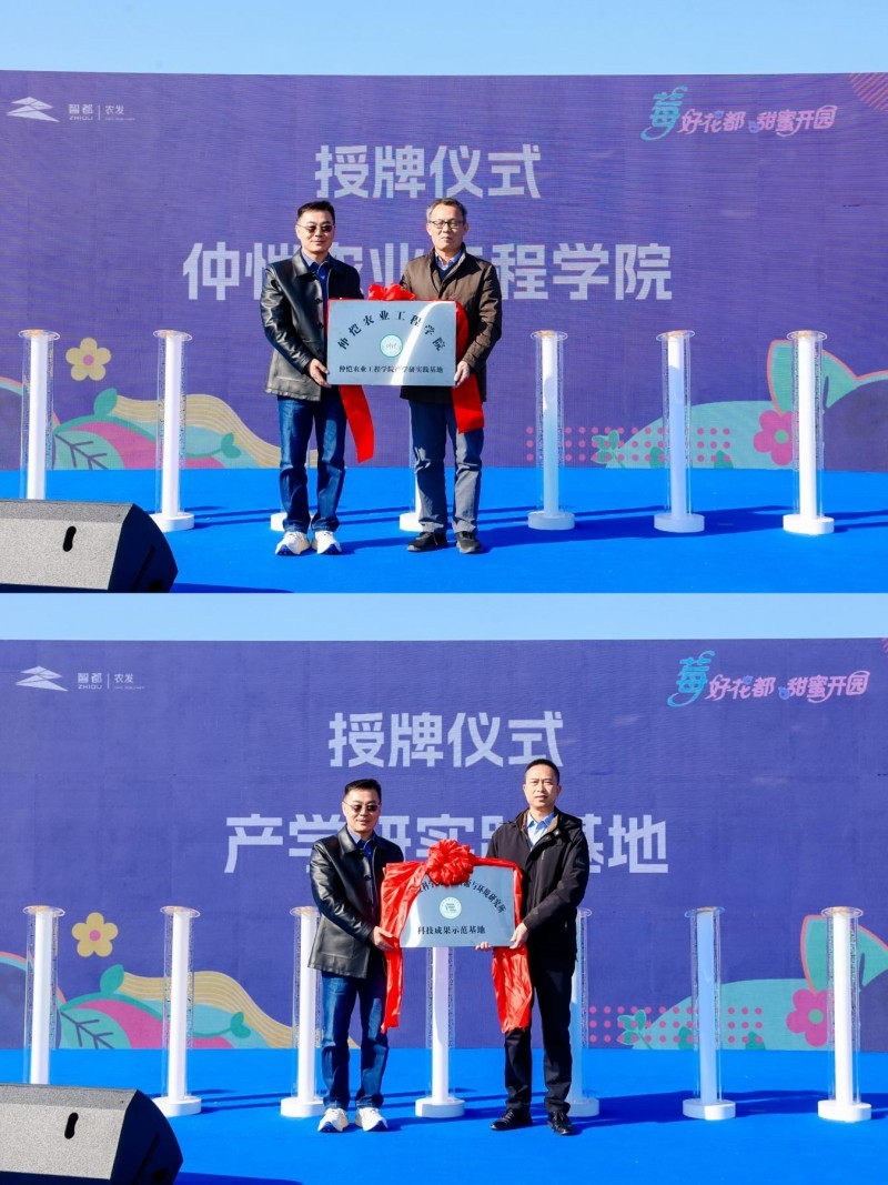 花都蓝莓采摘季开启 诚邀市民共品“莓”好