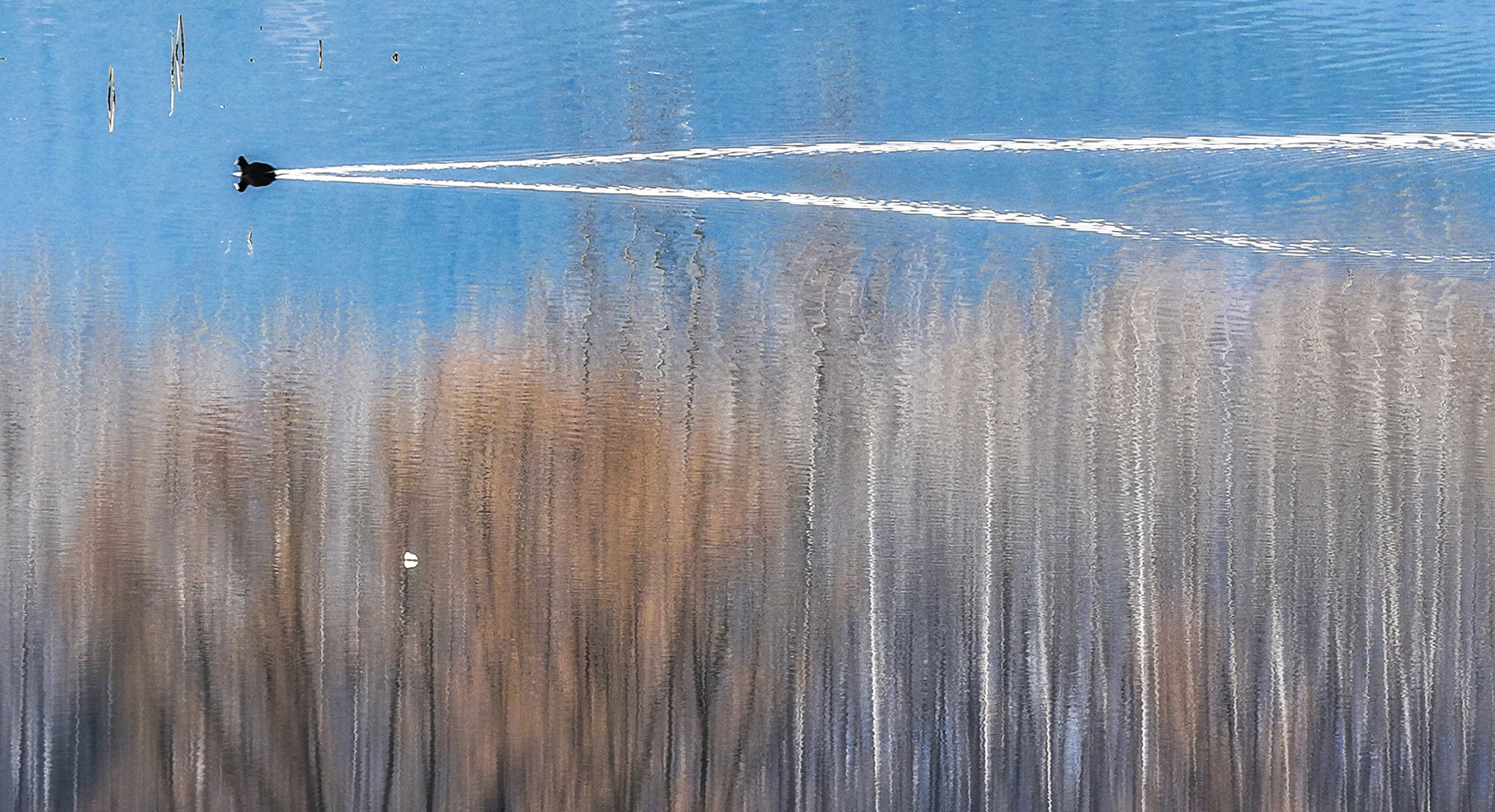 枣庄库区冬景如画