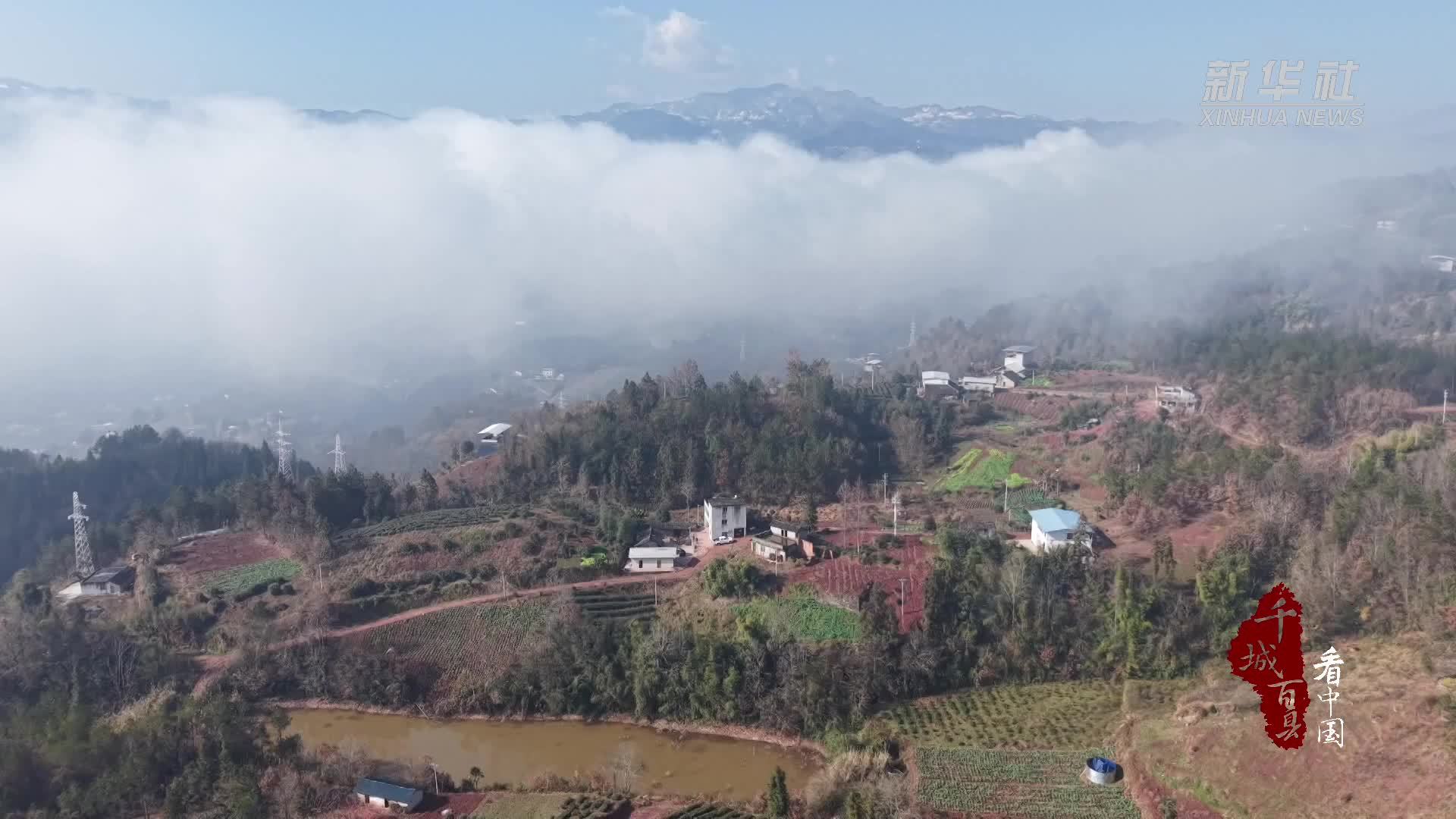 千城百县看中国｜湖北巴东：一口甜香藏匠心