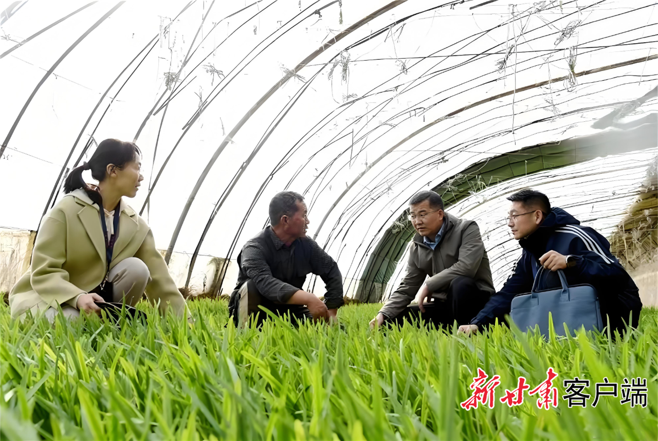 张掖市山丹县纪委监委紧盯惠民惠农政策落实情况,把监督“探头”延伸到田间地头。省纪委监委供图