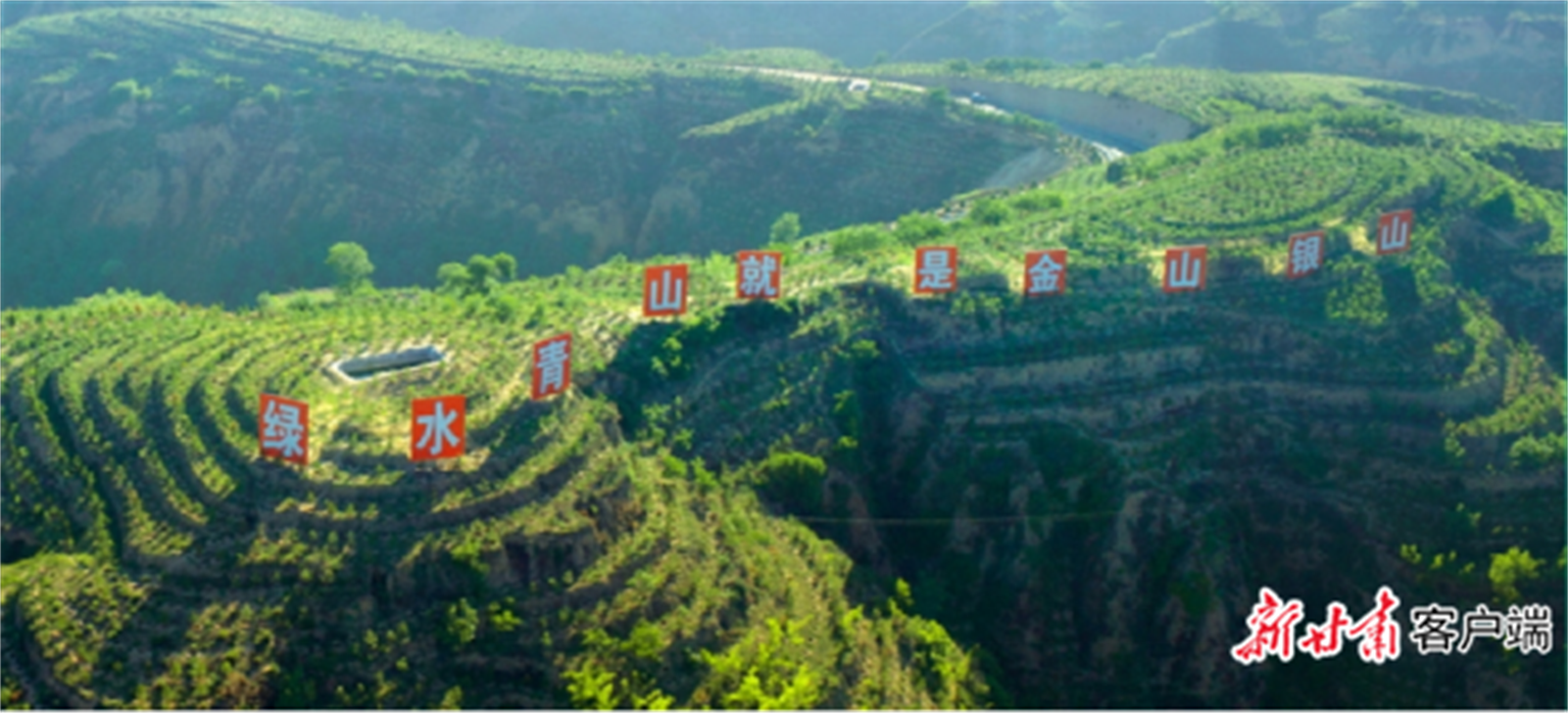 平凉市全力推进城乡国土绿化 本文图片均由平凉市林草局提供