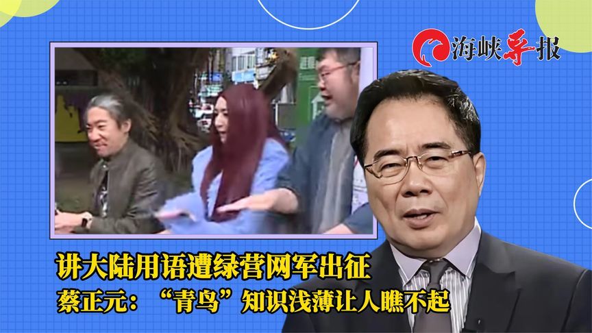 讲大陆用语遭绿营网军出征，蔡正元：“青鸟”知识浅薄让人瞧不起