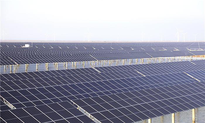 绿电赋能项目兴 滨州产业向新行