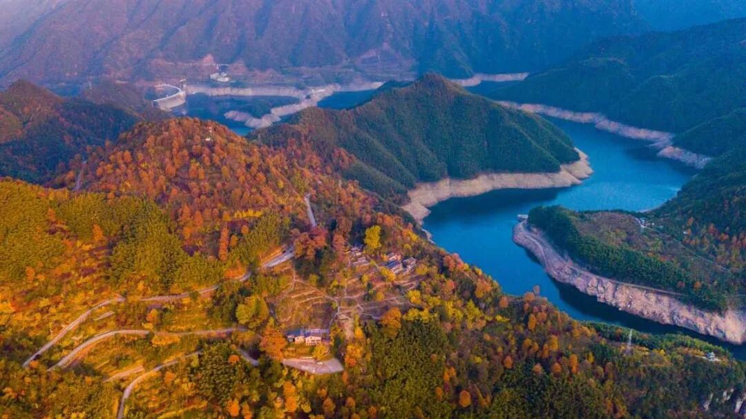 “一树一策”，宁波将分级为6000余株古树名木“养老”