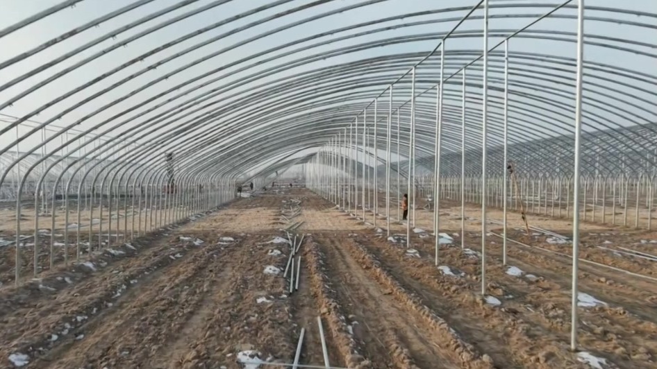 甘肃肃州钢架拱棚建设忙　乡村振兴产业旺