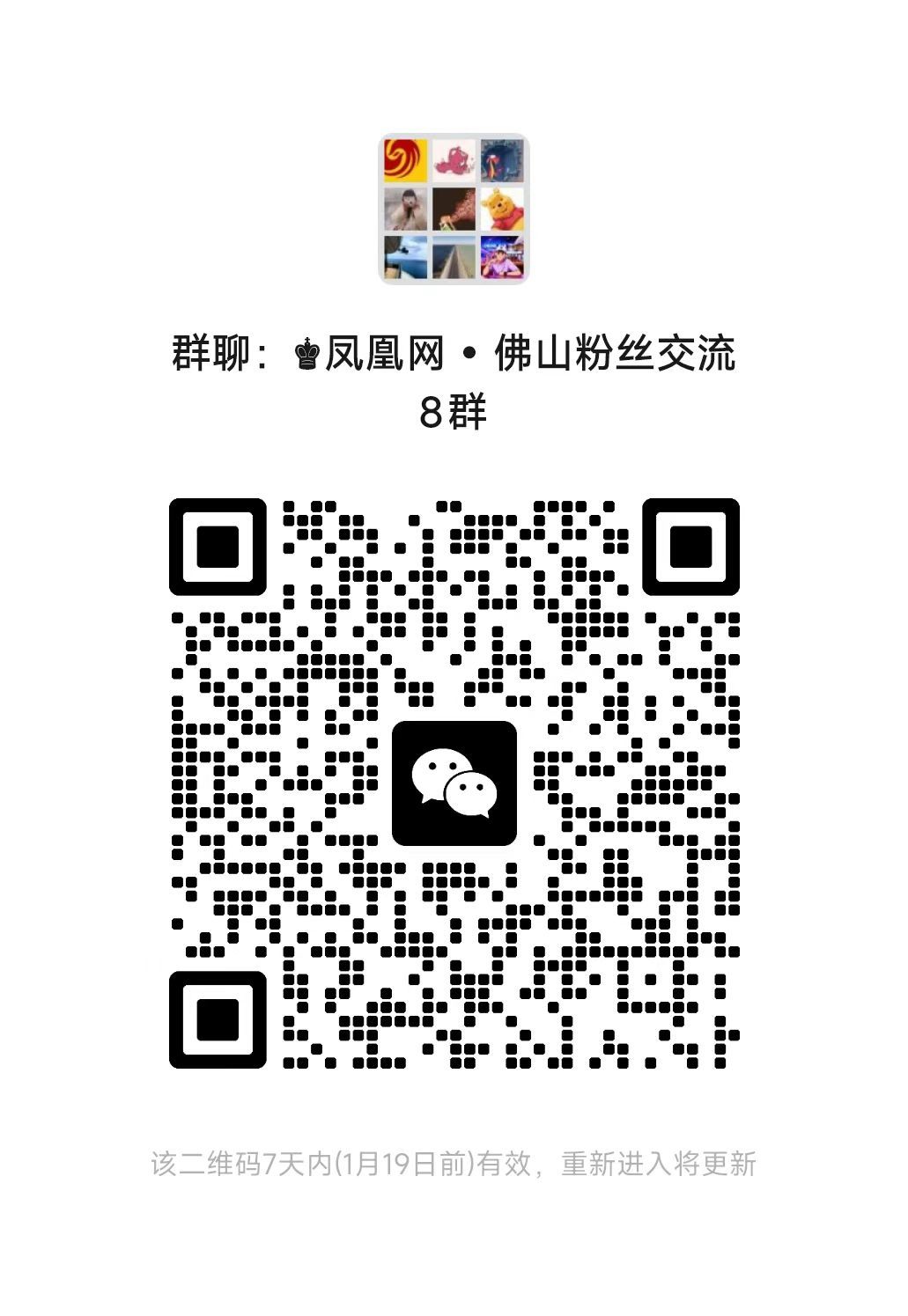 秘境岛+疍家渔村！佛山新地标来了