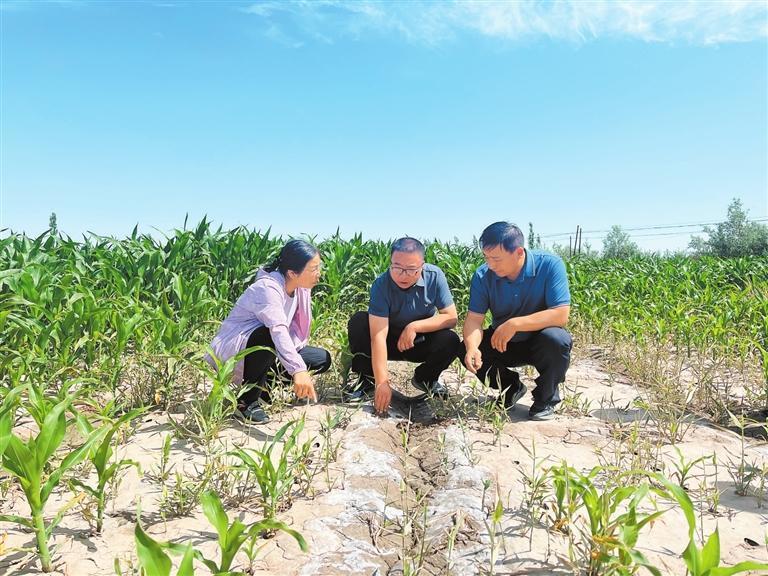 郭世乾（中）实地查看盐碱地综合治理情况　受访者供图