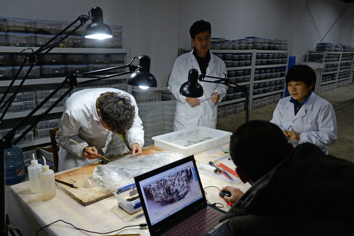 文保人员在江西南昌西汉海昏侯墓遗址文保用房内对出土的竹简进行剥离（2015年11月24日摄）。新华社记者 万象 摄