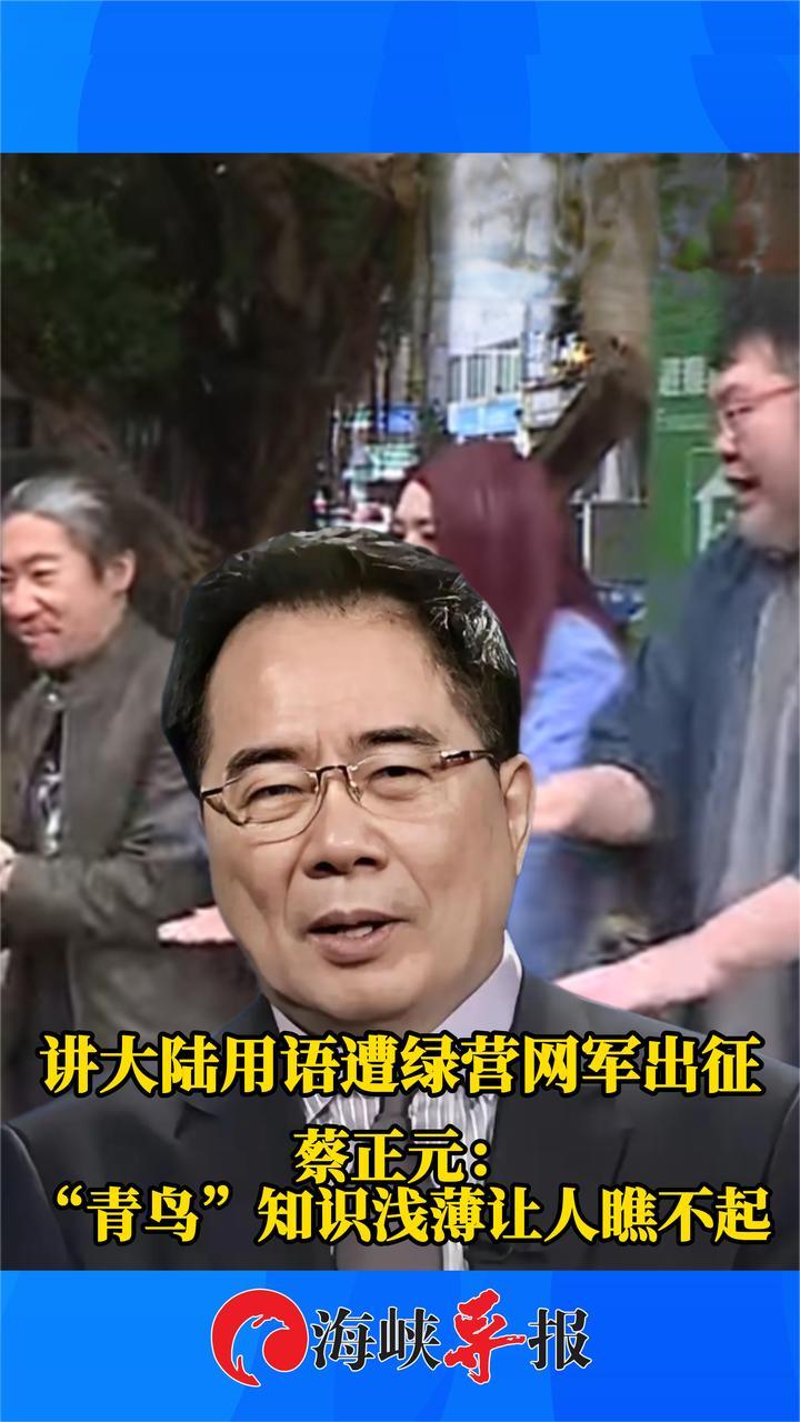 讲大陆用语遭绿营网军出征，蔡正元：“青鸟”知识浅薄让人瞧不起