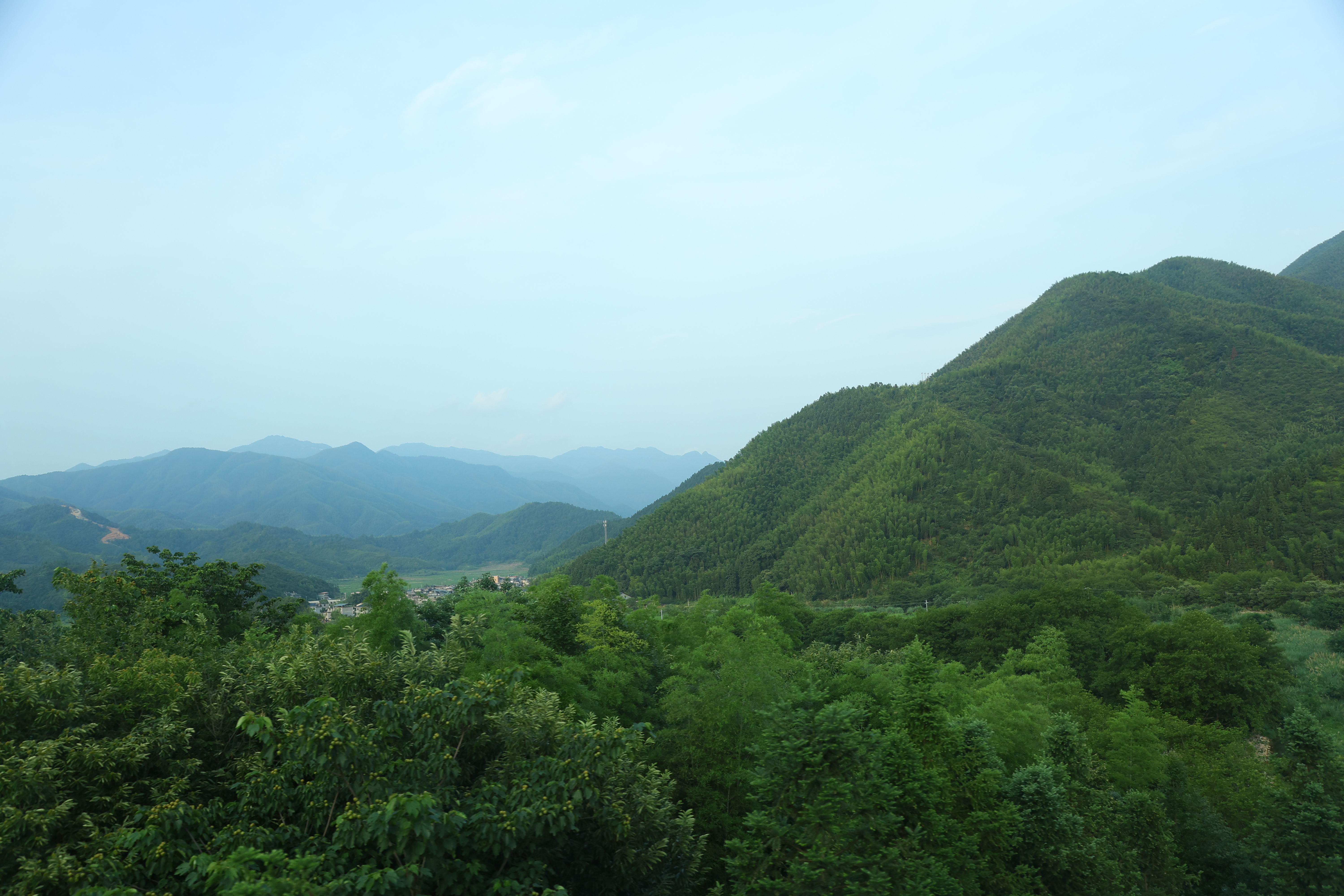 聚焦“十四五”生态环境工作高质量发展成就 奋力打造美丽中国“江西样板”