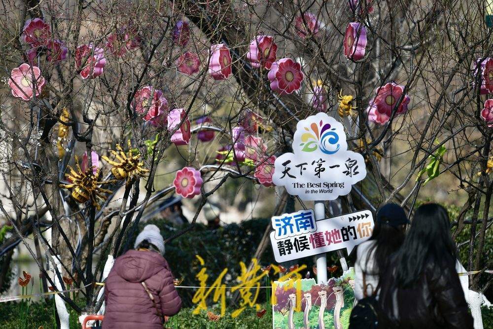 五龙潭迎春花灯启动安装 将化身梦幻光影乐园点亮泉城