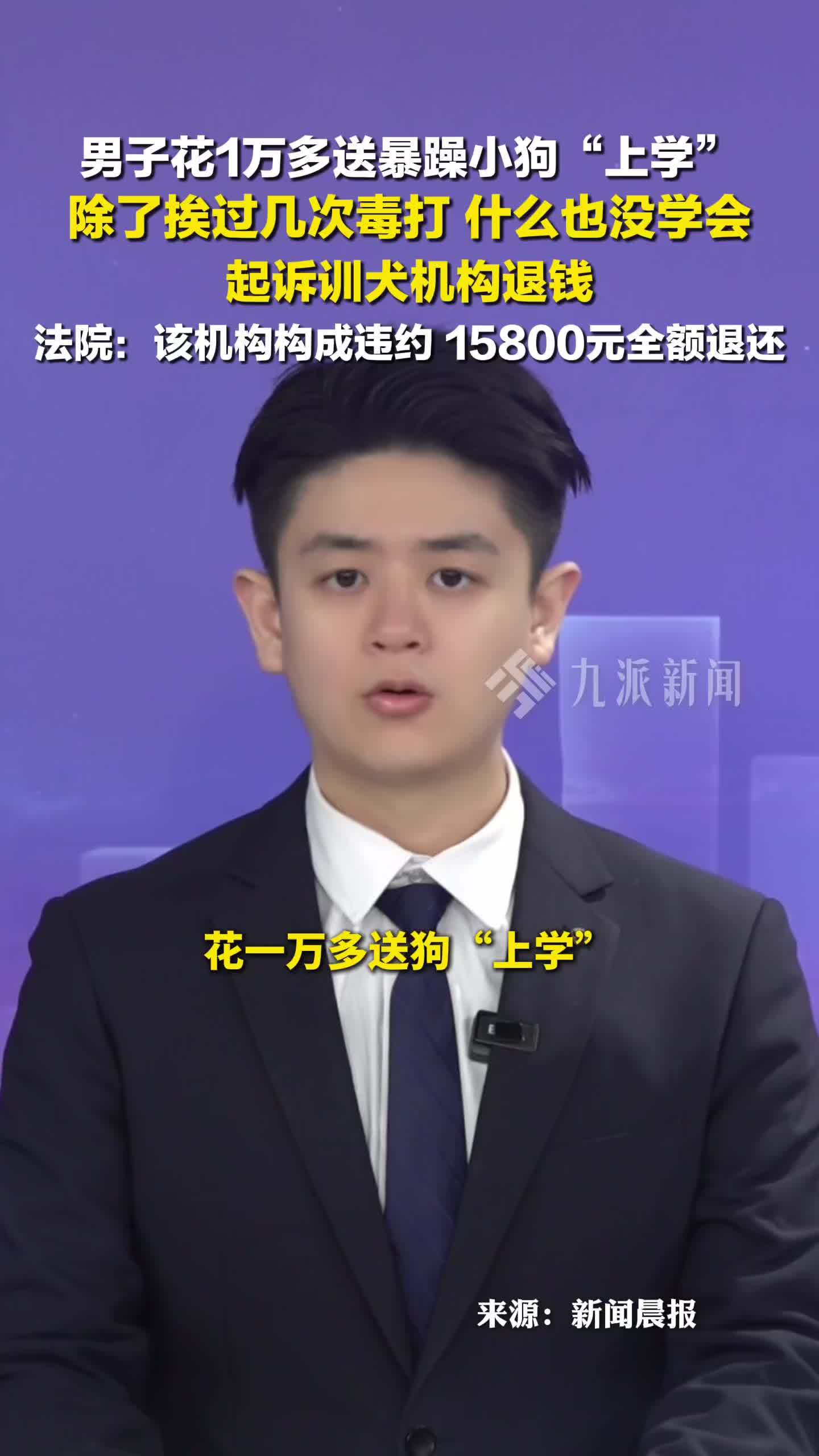 男子花15800元训狗除了挨打啥都没学会 ，法院判退款