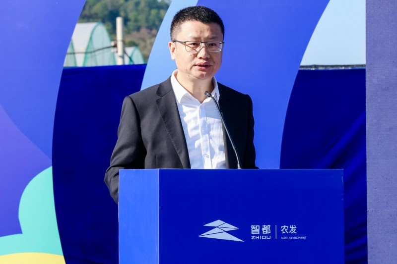 花都蓝莓采摘季开启 诚邀市民共品“莓”好