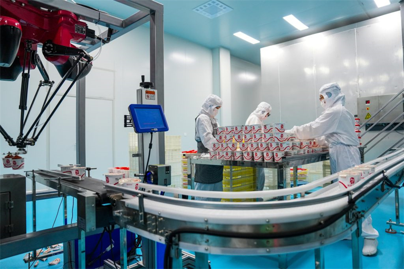 1月13日,保定沃隆农业发展有限公司工人在冰柿智能生产线上作业。