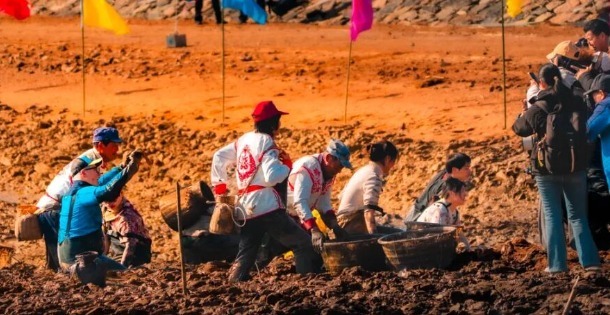 纳冬塘、品鱼鲜、享渔俗！西沪港冬捕好热闹