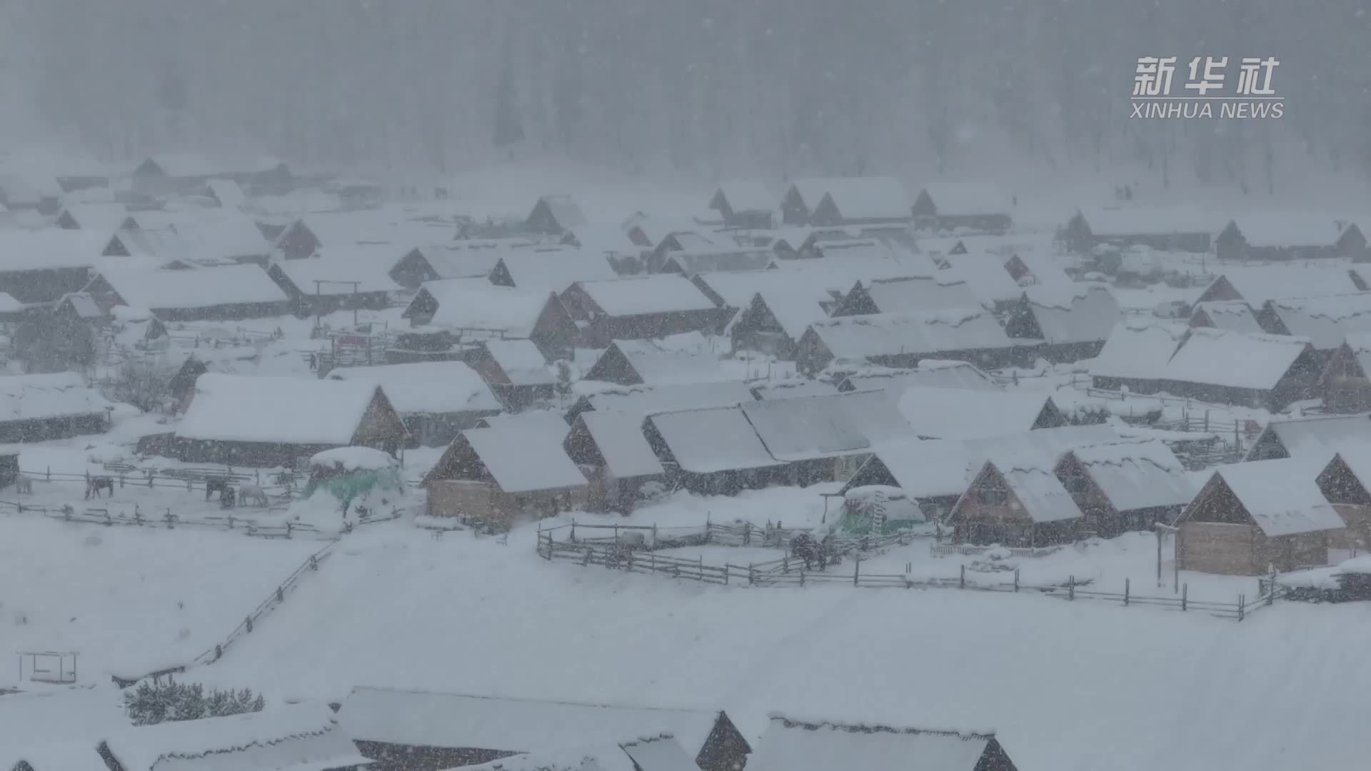 新疆阿勒泰迎来今冬最强寒潮天气