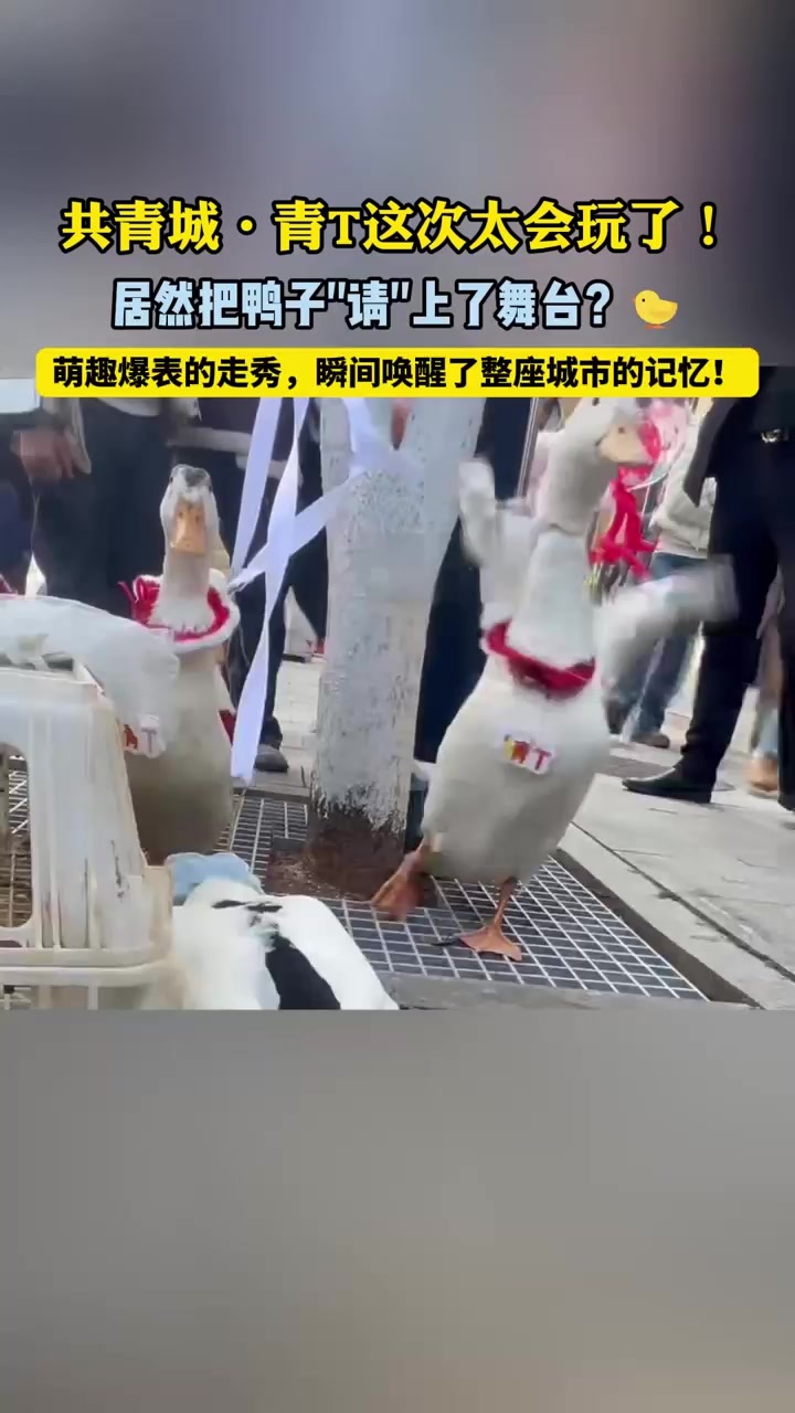 共青城：青T这次太会玩了！居然把鸭子“请”上了舞台？