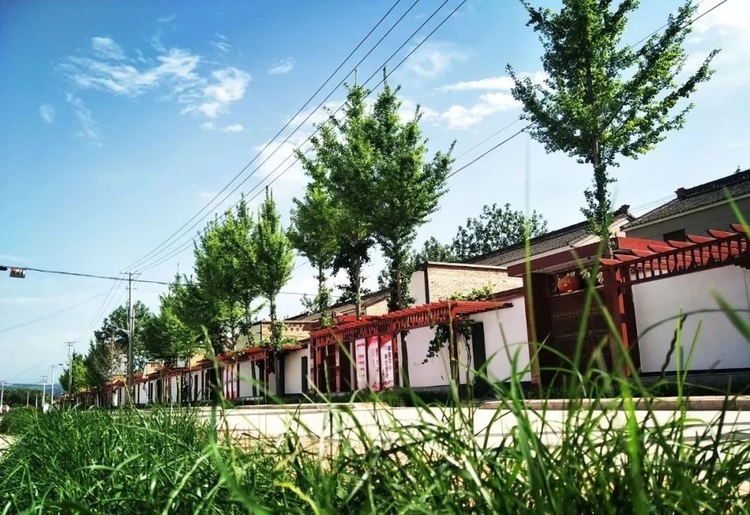 陕西千阳：着力绘就乡村振兴新画卷