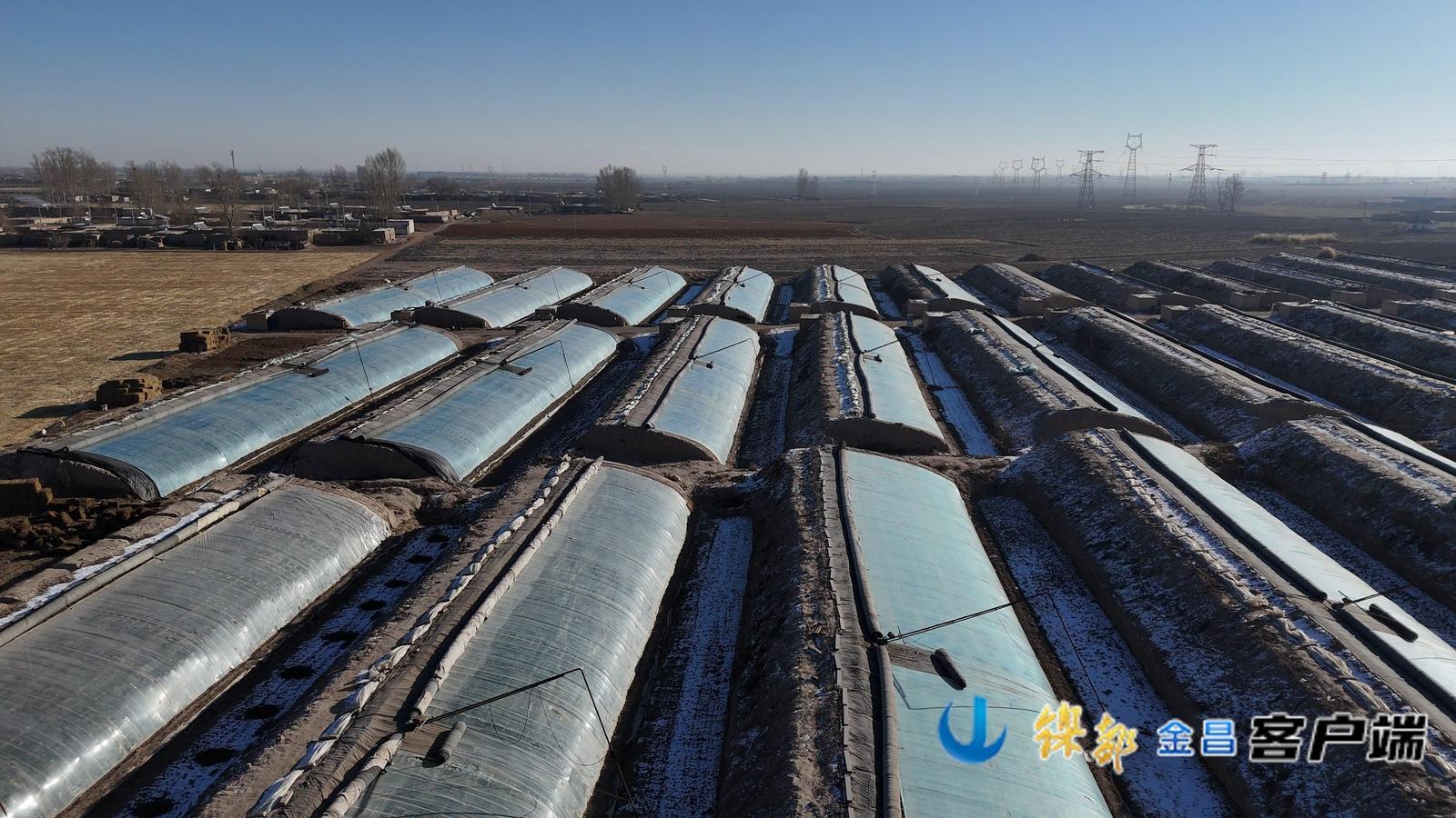 △甘肃华宇农业科技有限责任公司温室大棚俯瞰图