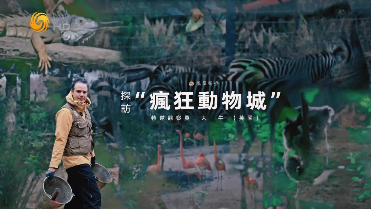 探访“疯狂动物城”