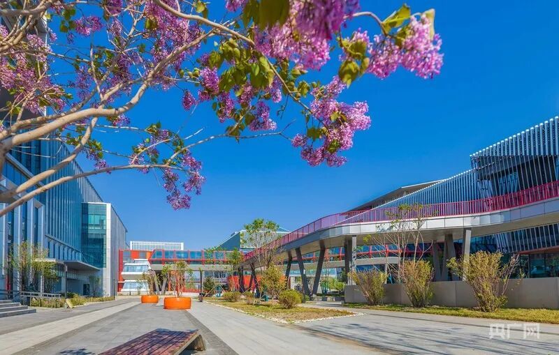 深哈产业园（央广网发 张本盛 摄）