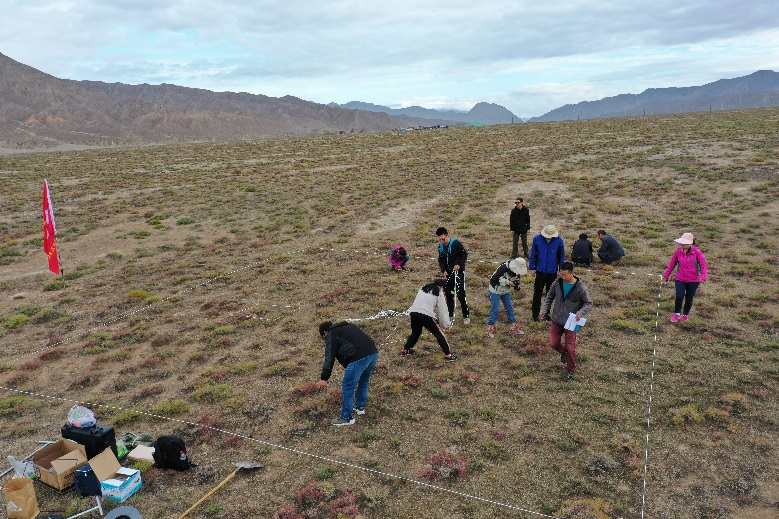 团队在野外做采样调查