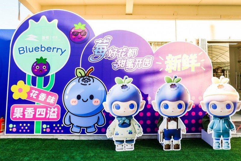 花都蓝莓采摘季开启 诚邀市民共品“莓”好