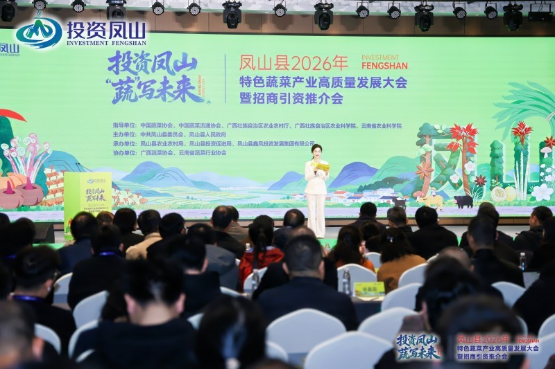 凤山：以‘蔬’为媒聚合力 特色产业绘就乡村振兴新图景