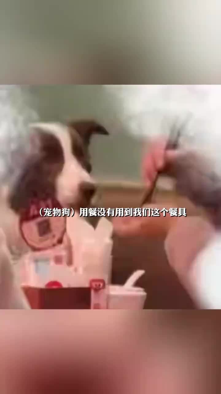 西贝一门店被曝有顾客带宠物狗上桌吃饭，回应：并未使用门店餐具，该批餐具已废弃